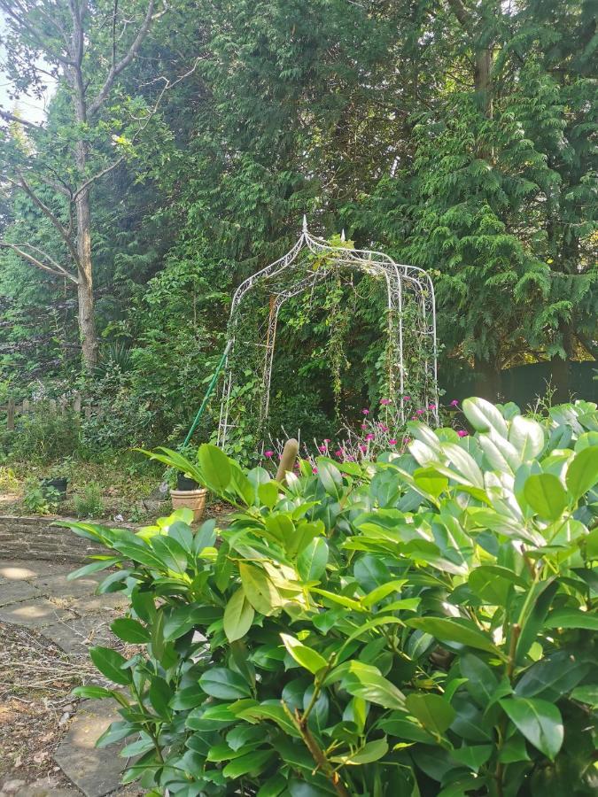 Peaceful Retreat Hideaway Surrey Apartment Esher Ngoại thất bức ảnh
